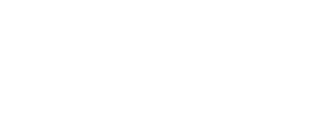 Diseño y Gestión